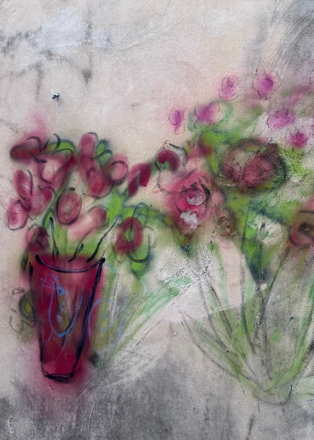 Wall Flower, front